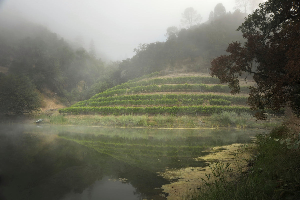 The pond at Skipstone vineyards